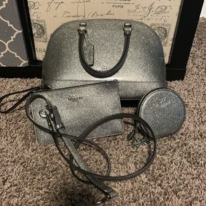 Silver glitter coach set